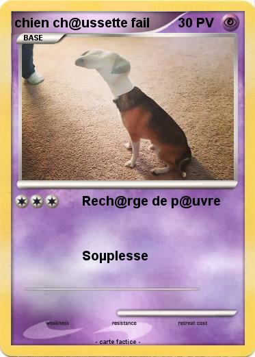 Pokemon chien ch@ussette fail