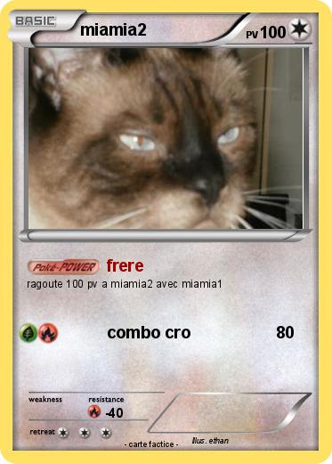 Pokemon miamia2