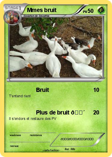 Pokemon Mmes bruit