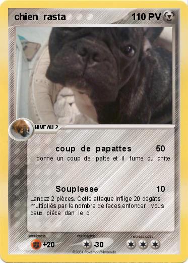 Pokemon chien  rasta