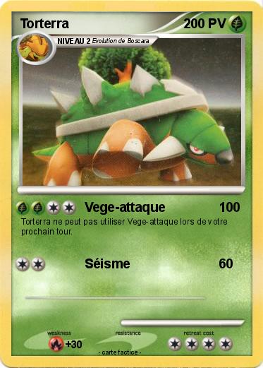 Pokemon Torterra
