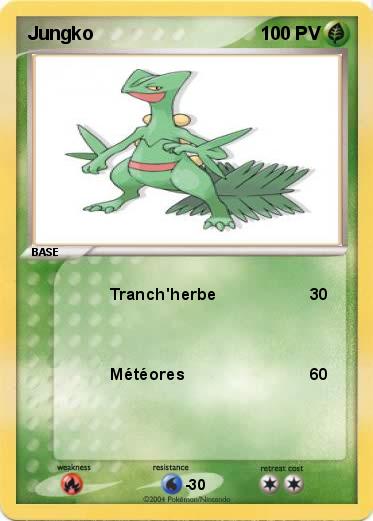 Pokemon Jungko