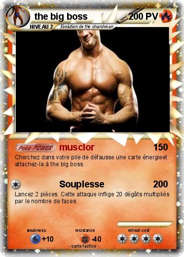 Pokemon the big boss