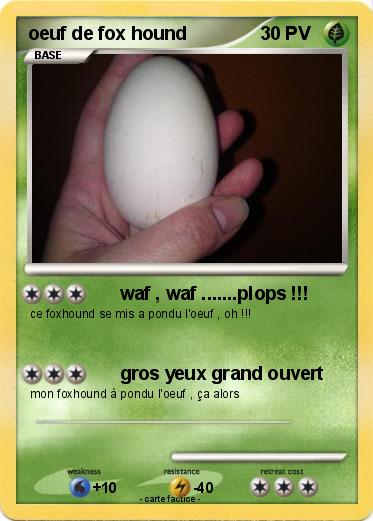 Pokemon oeuf de fox hound