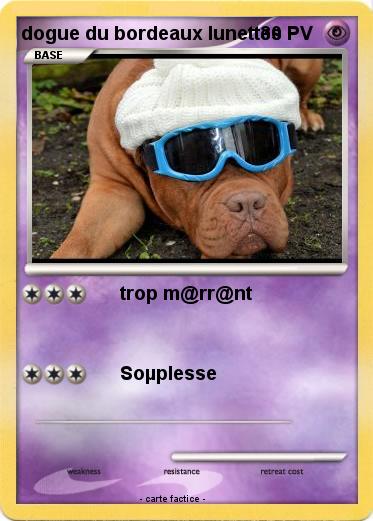 Pokemon dogue du bordeaux lunettes