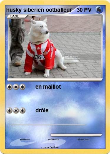 Pokemon husky siberien ootballeur