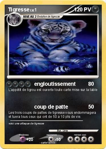 Pokemon Tigresse