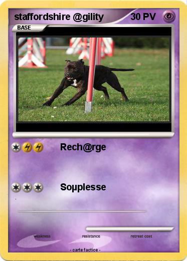 Pokemon staffordshire @gility