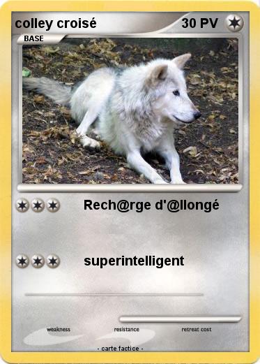 Pokemon colley croisé