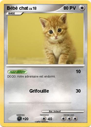 Pokemon Bébé chat