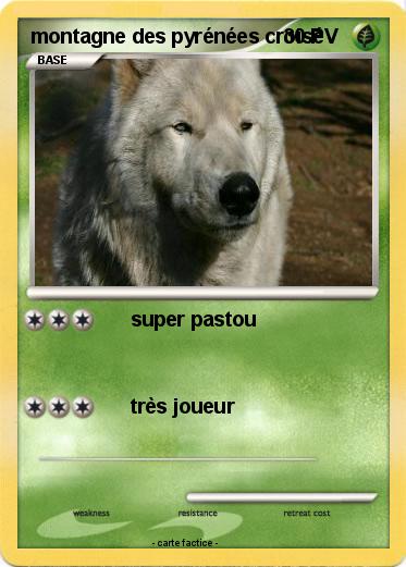 Pokemon montagne des pyrénées croisé
