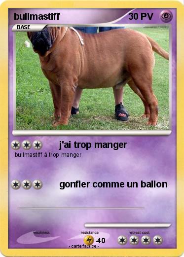 Pokemon bullmastiff