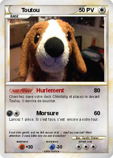 Pokemon Toutou