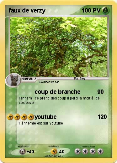 Pokemon faux de verzy
