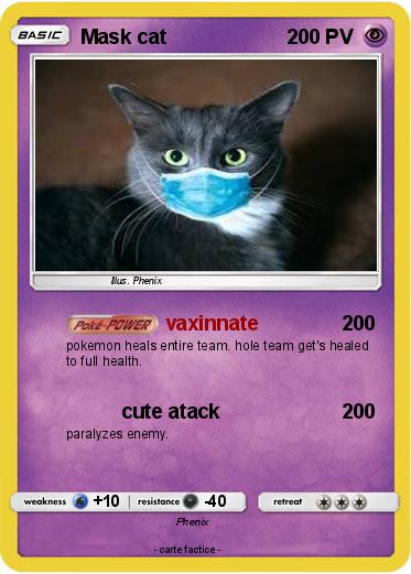 Pokemon Mask cat