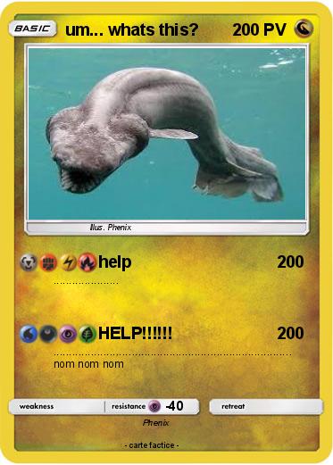 Pokemon um... whats this?