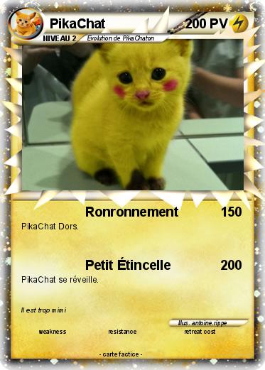 Pokemon PikaChat