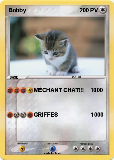 Pokemon Bobby