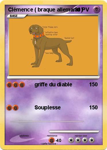 Pokemon Clémence ( braque allemand )