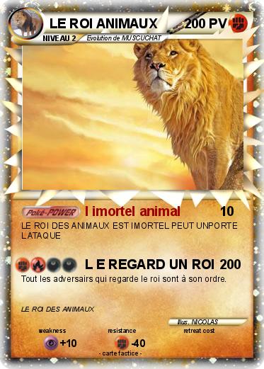 Pokemon LE ROI ANIMAUX