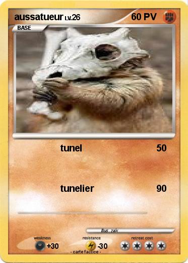 Pokemon aussatueur