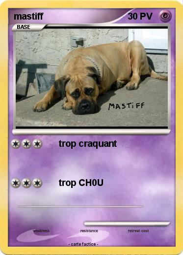 Pokemon mastiff