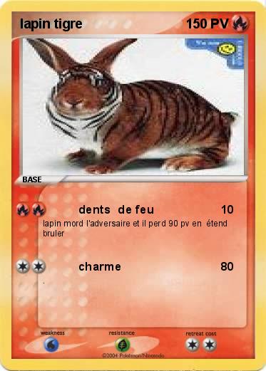 Pokemon lapin tigre