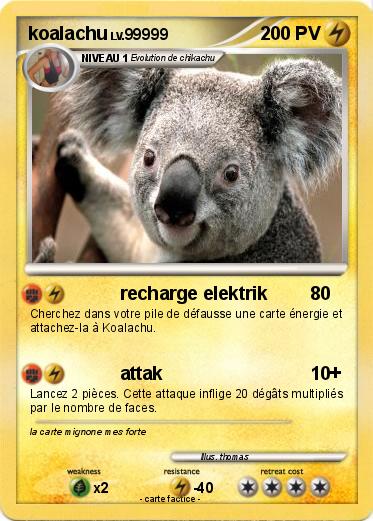Pokemon koalachu