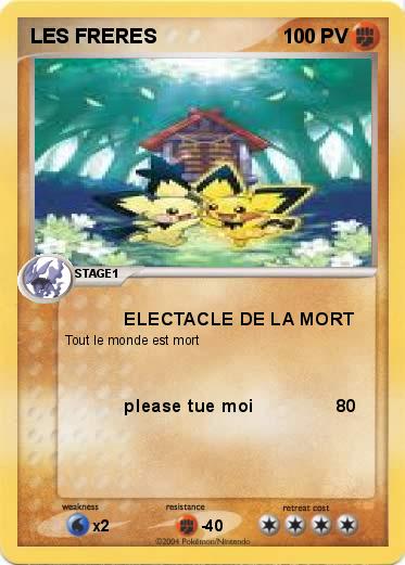 Pokemon LES FRERES