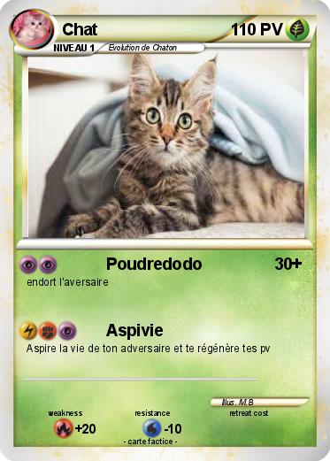 Pokemon Chat