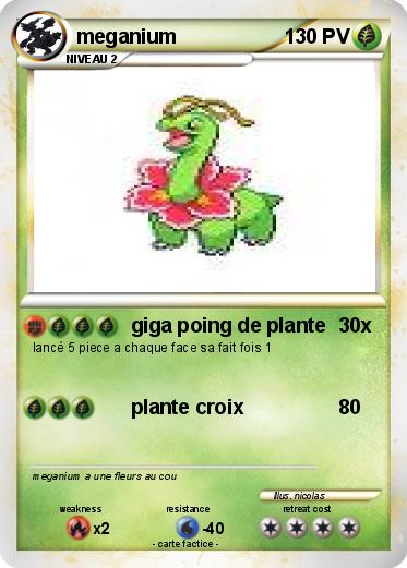 Pokemon meganium