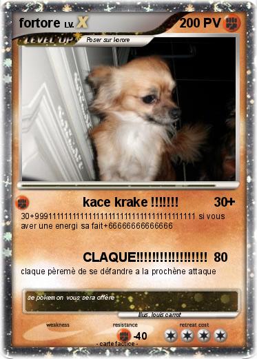 Pokemon fortore