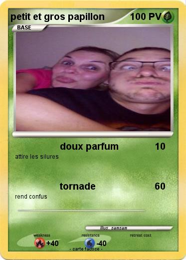 Pokemon petit et gros papillon