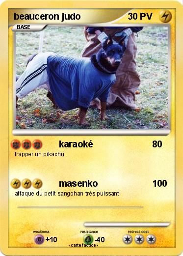 Pokemon beauceron judo