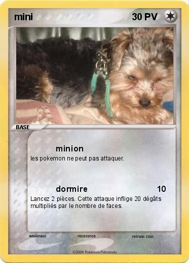 Pokemon mini