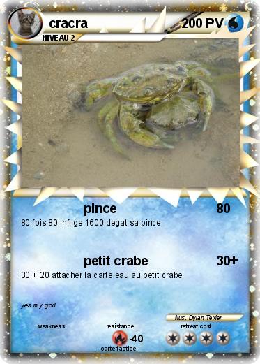 Pokemon cracra