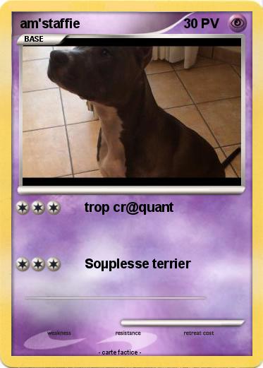 Pokemon am'staffie