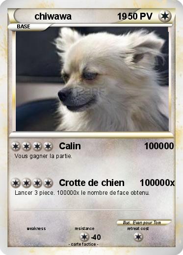 Pokemon chiwawa                  19