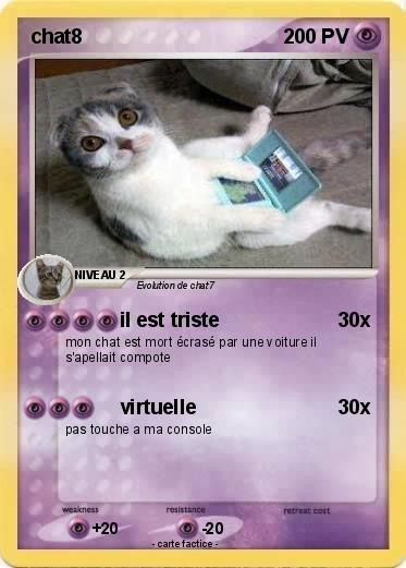 Pokemon chat8
