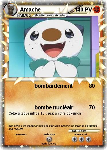 Pokemon Amache