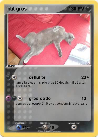 Pokemon ptit gros