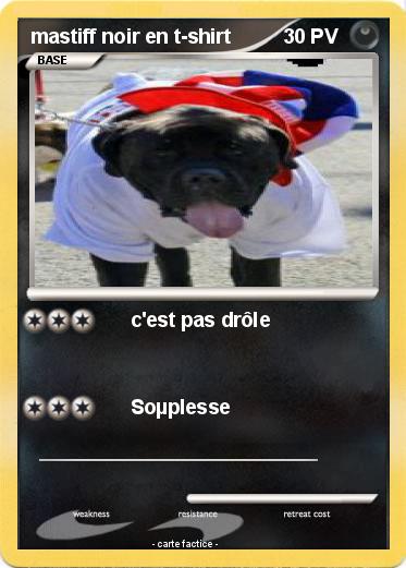 Pokemon mastiff noir en t-shirt