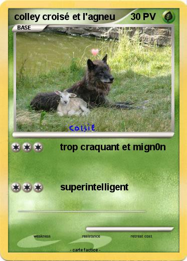 Pokemon colley croisé et l'agneu