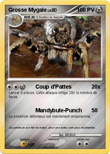 Pokemon Grosse Mygale