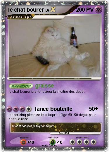 Pokemon le chat bourer