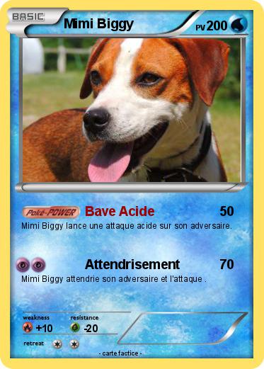 Pokemon Mimi Biggy
