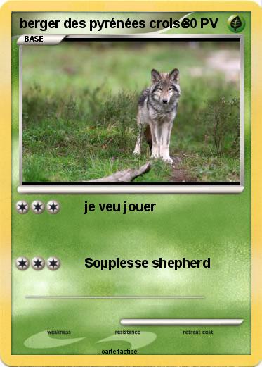 Pokemon berger des pyrénées croisé