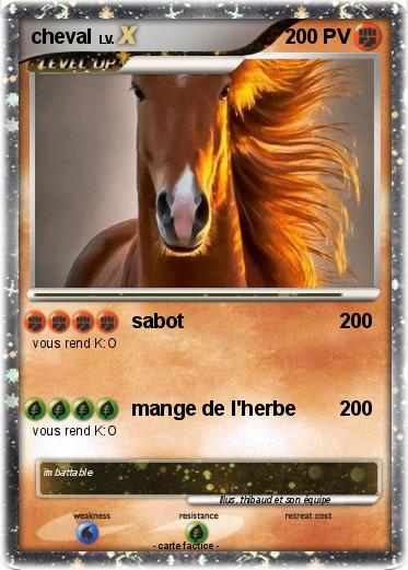 Pokemon cheval