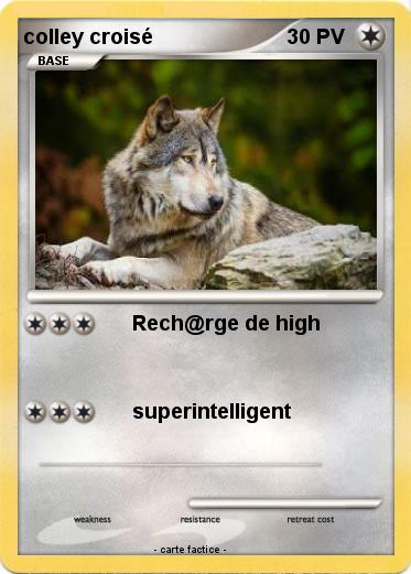 Pokemon colley croisé