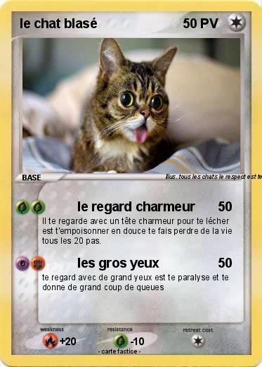 Pokemon le chat blasé